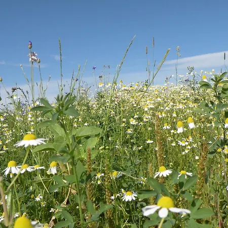 度假居 Rendeux Retreat With Sauna